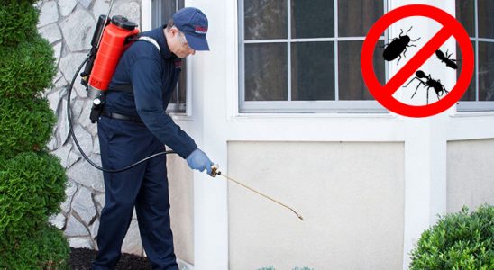 Gülbahçe Gümüşkurt İlaçlama böcek ilaçlama ve haşere kontrolü — ilaclama-tr.com